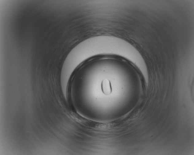 X0000073540084200607311403