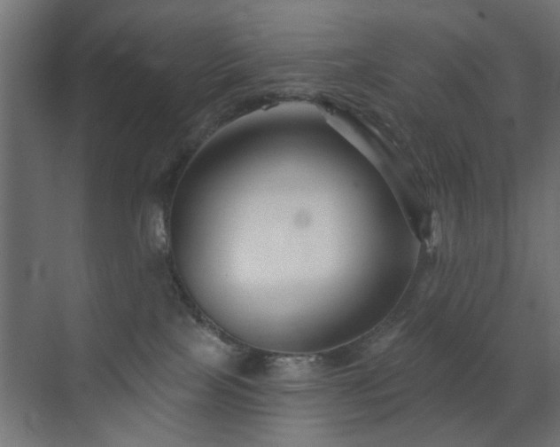 X0000073540089200607311404