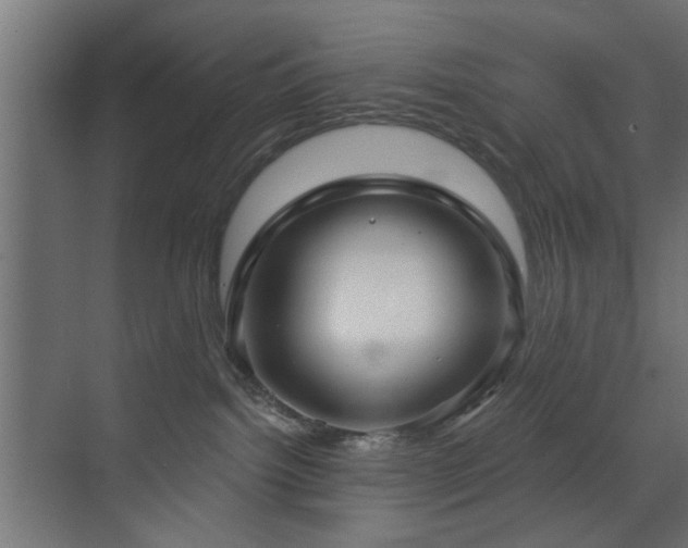 X0000073540092200607311404