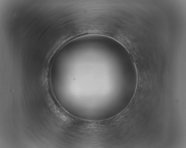 X0000073540098200607311403
