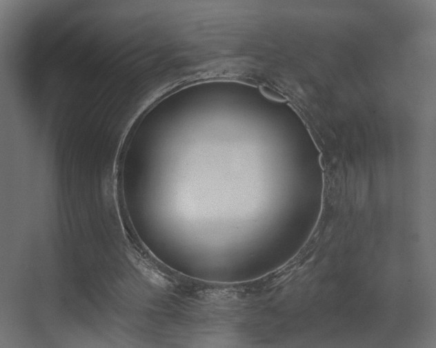 X0000073540100200607311403