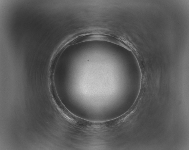 X0000073540101200607311403