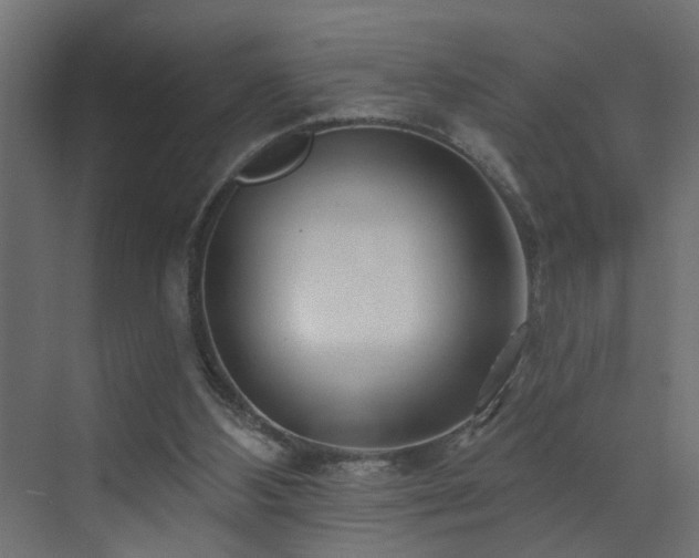 X0000073540108200607311403