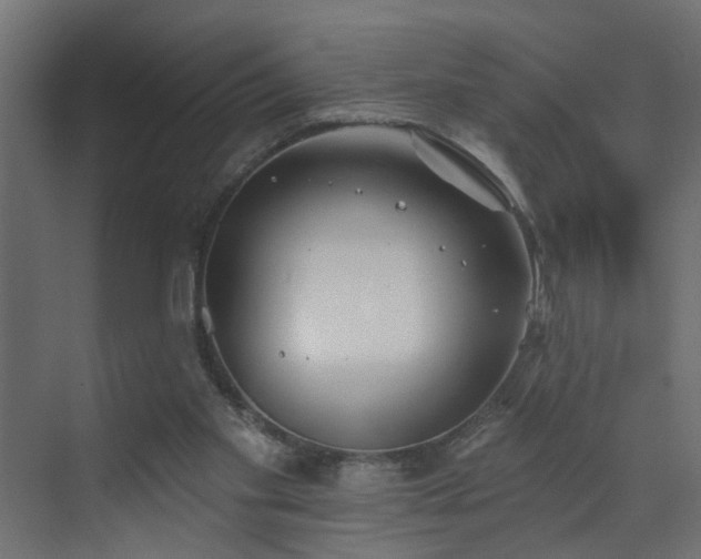 X0000073540109200607311403