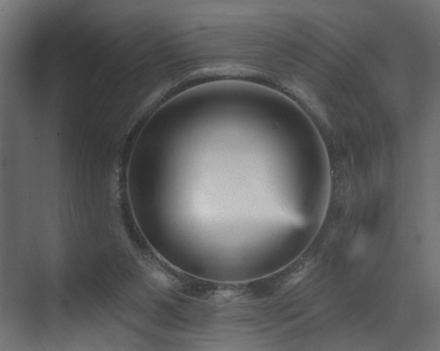 X0000073540111200607311403