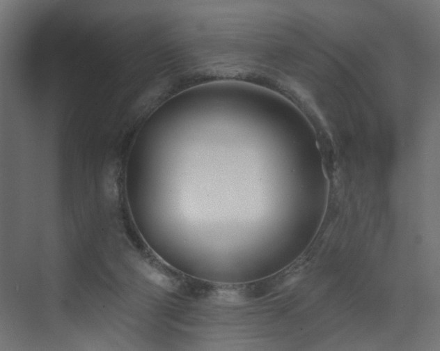 X0000073540114200607311403