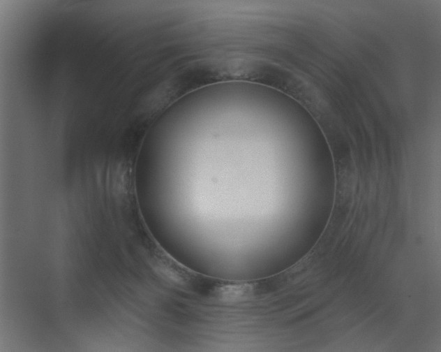 X0000073540126200607311402