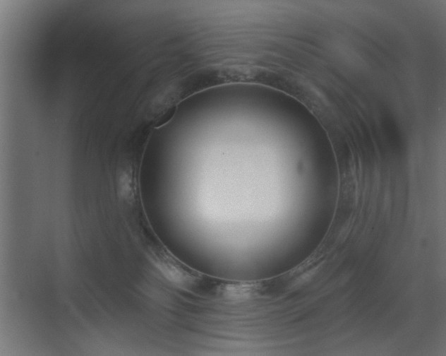 X0000073540134200607311402