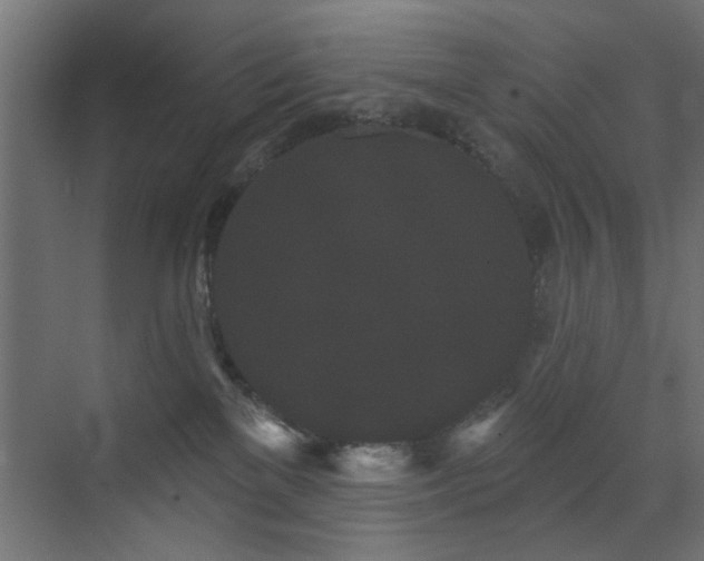 X0000073540137200607311402