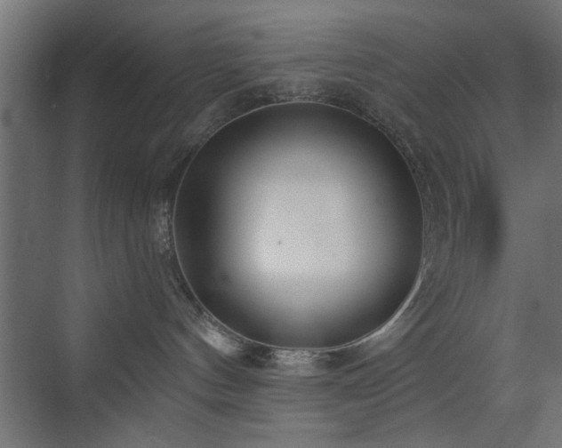 X0000073540144200607311402