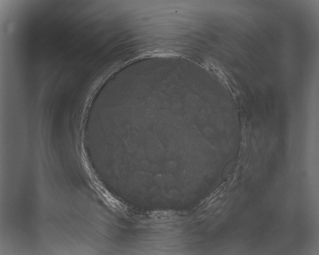 X0000073540145200607311401