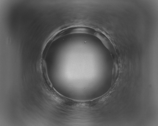 X0000073540152200607311401