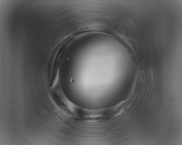 X0000073540154200607311401