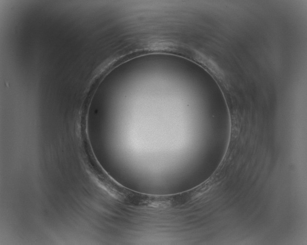 X0000073540155200607311401