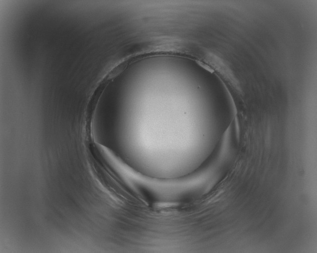 X0000073540156200607311401