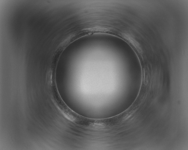 X0000073540157200607311401