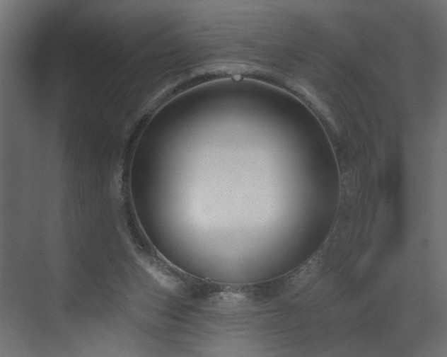 X0000073540159200607311401