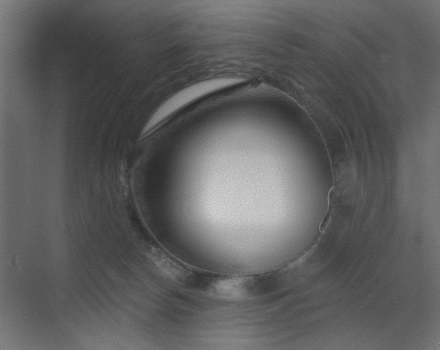 X0000073540178200607311402