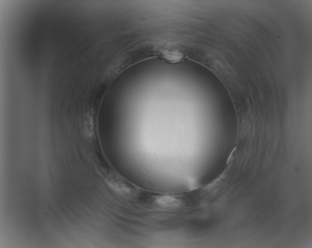 X0000073540183200607311402