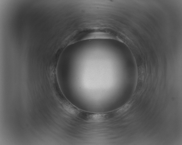 X0000073540184200607311402