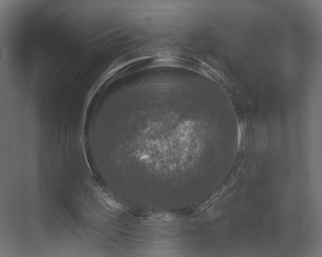 X0000073540195200607311401