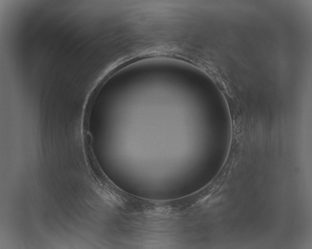 X0000073540196200607311401