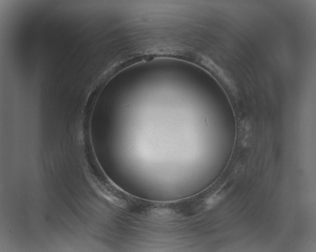 X0000073540203200607311401