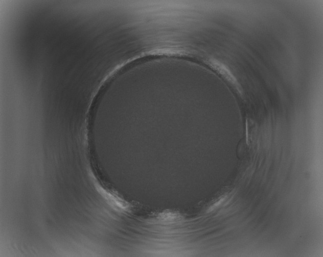 X0000073540204200607311401