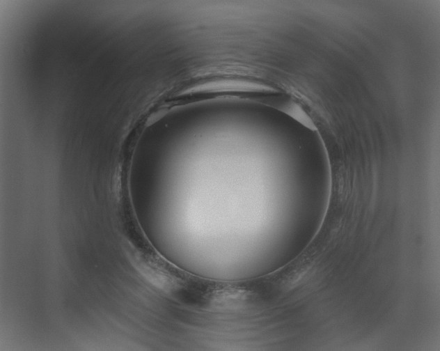 X0000073540206200607311401