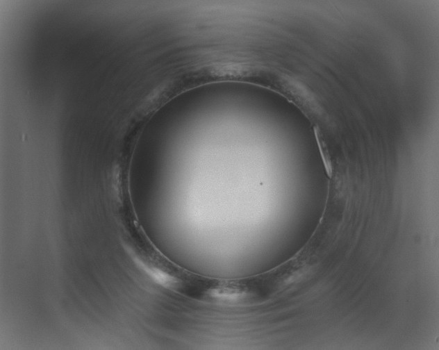 X0000073540211200607311401