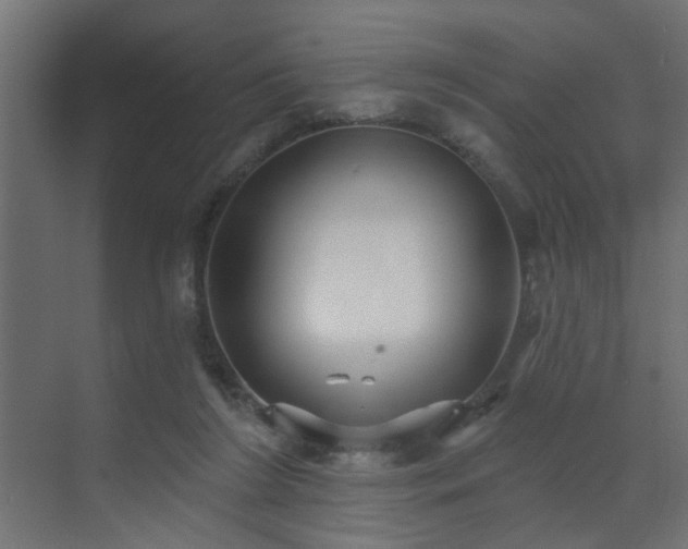 X0000073540212200607311401