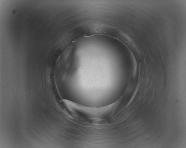 X0000073540217200607311401