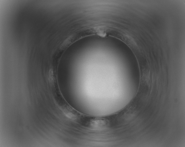 X0000073540220200607311401