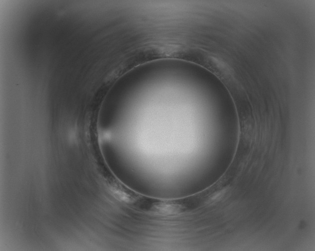 X0000073540221200607311401