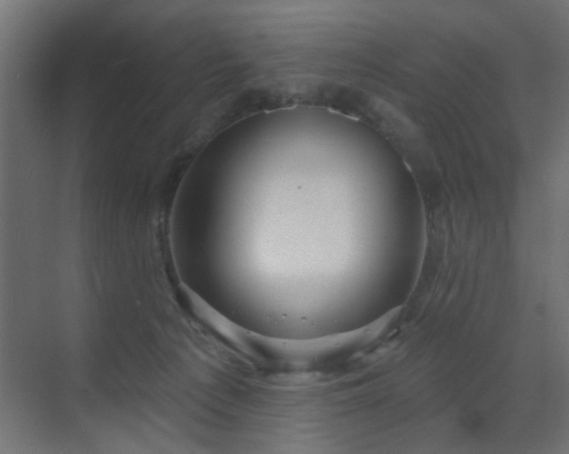 X0000073540225200607311401
