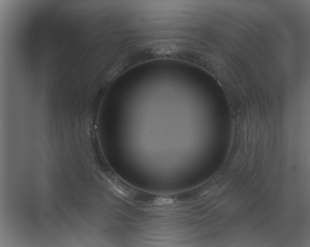 X0000073540227200607311401