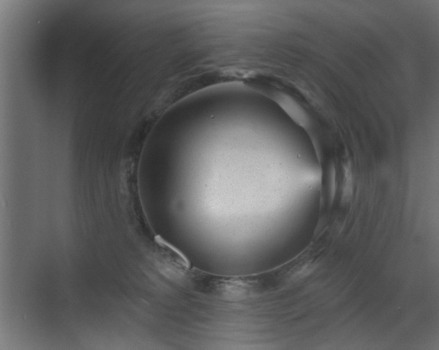 X0000073540229200607311401