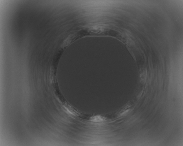 X0000073540231200607311401