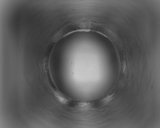 X0000073540233200607311401