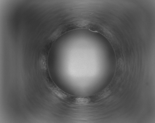 X0000073540234200607311401
