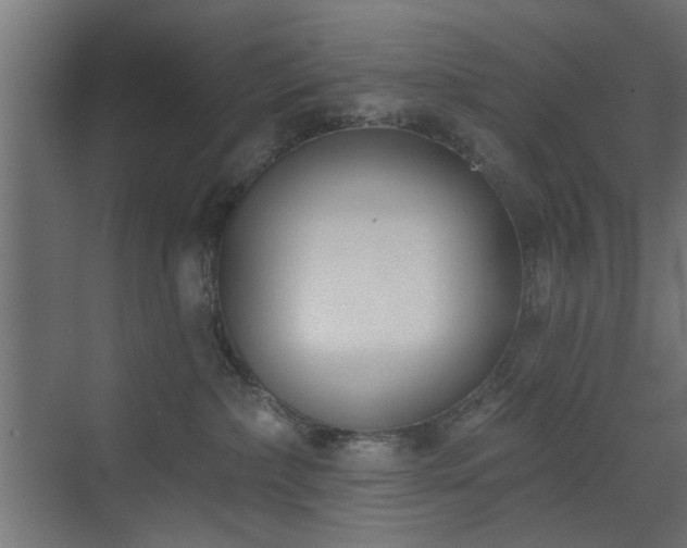 X0000073540236200607311400