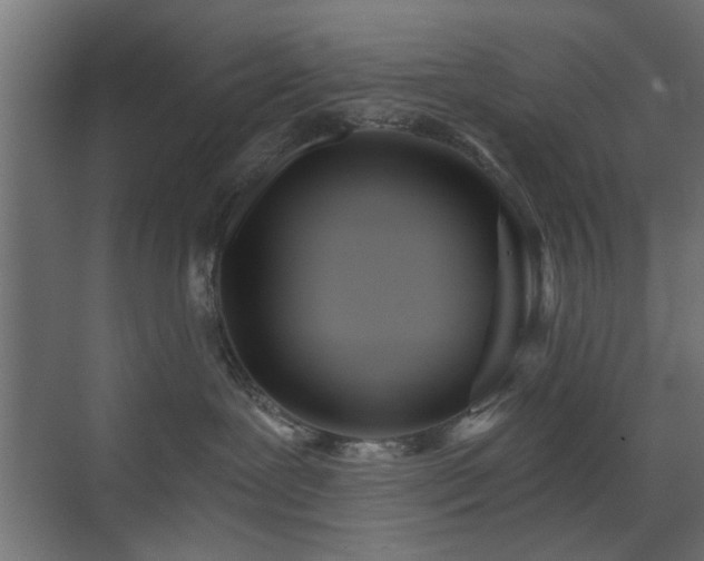 X0000073540239200607311400