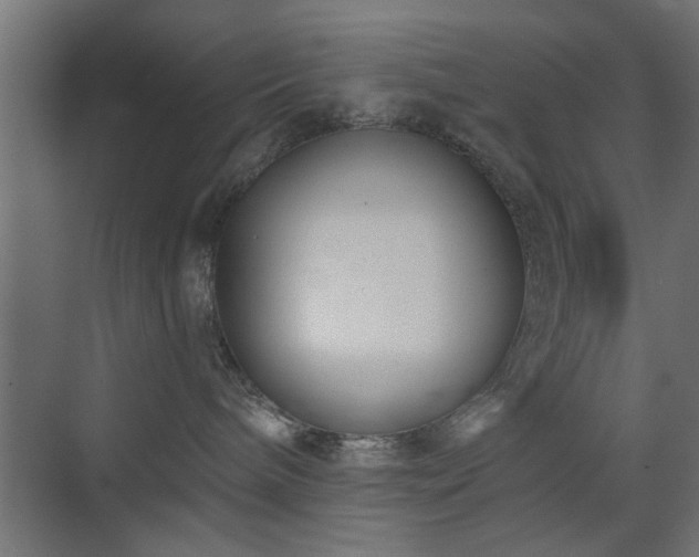 X0000073540240200607311400