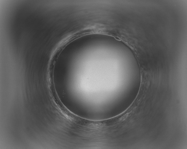 X0000073540245200607311400