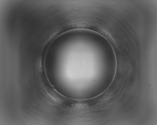 X0000073540251200607311400
