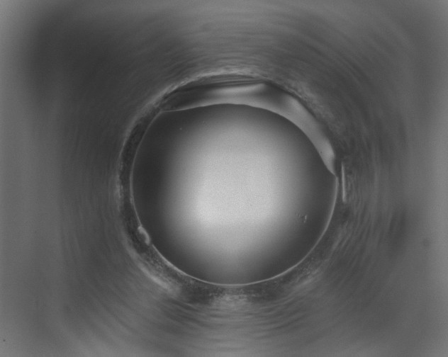X0000073540252200607311400