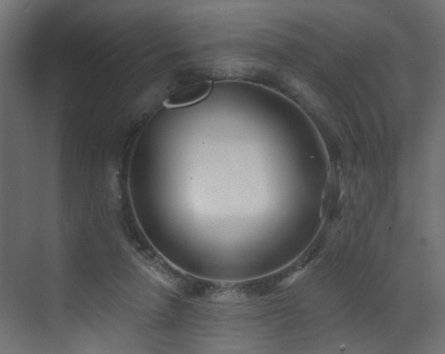 X0000073540258200607311400