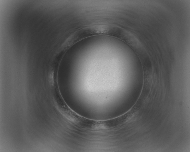 X0000073540262200607311400