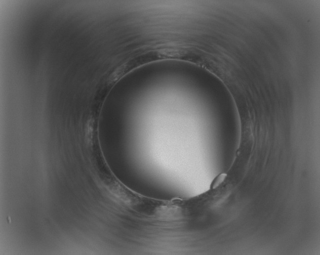X0000073540271200607311400