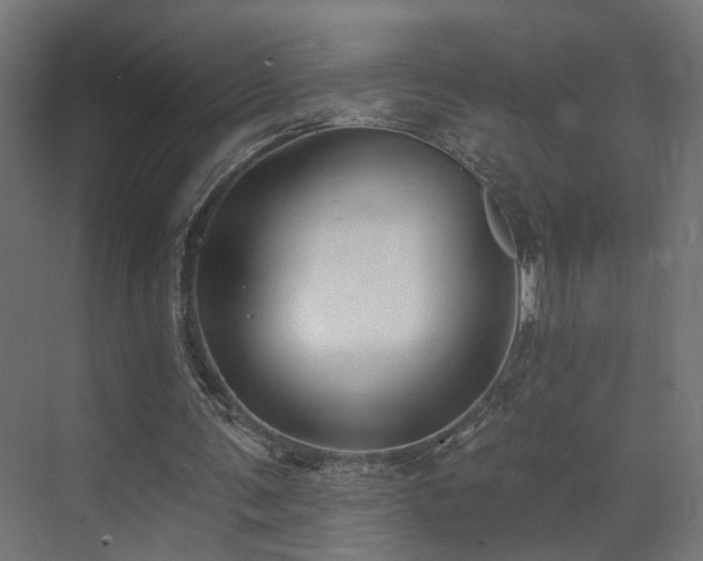 X0000073540291200607311400
